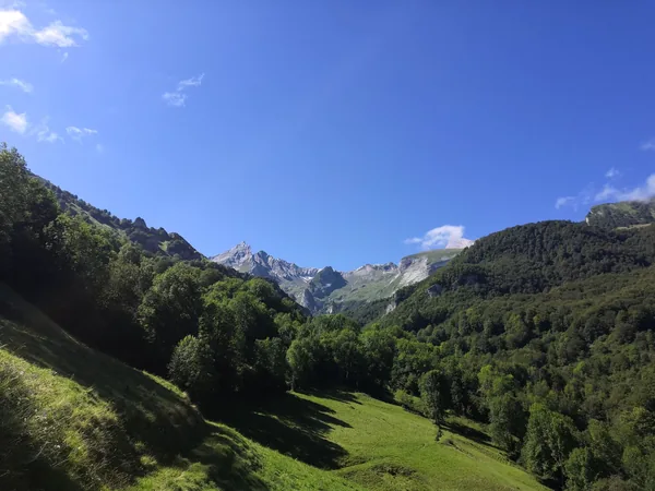 Béarn